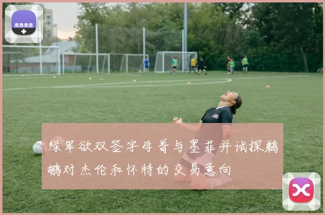 绿军欲双签字母哥与墨菲并试探鹈鹕对杰伦和怀特的交易意向