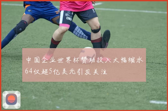 中国企业世界杯赞助投入大幅缩水64仅超5亿美元引发关注